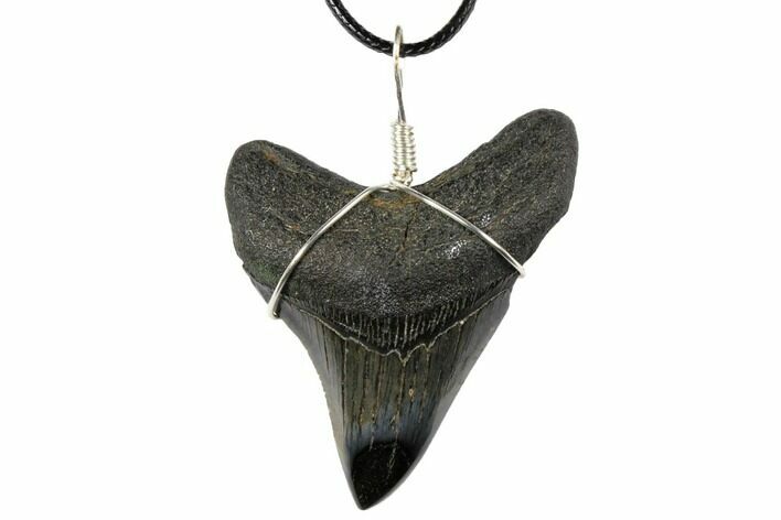 Fossil Megalodon Tooth Necklace #130956